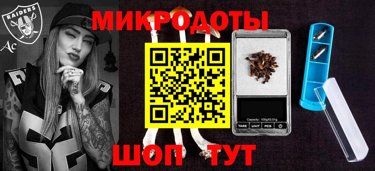 Галлюциногенные грибы Psilocybe Сердобск